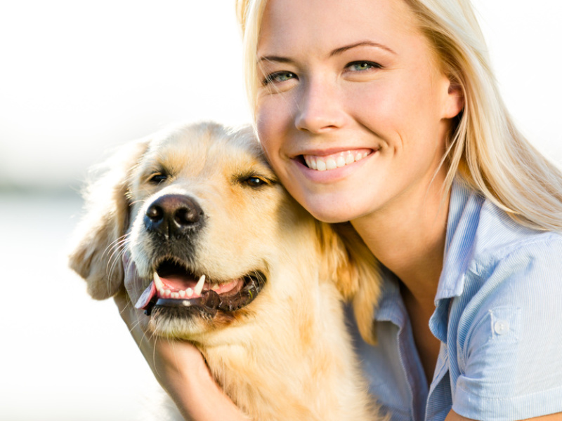 Hundehaftpflicht Versicherung